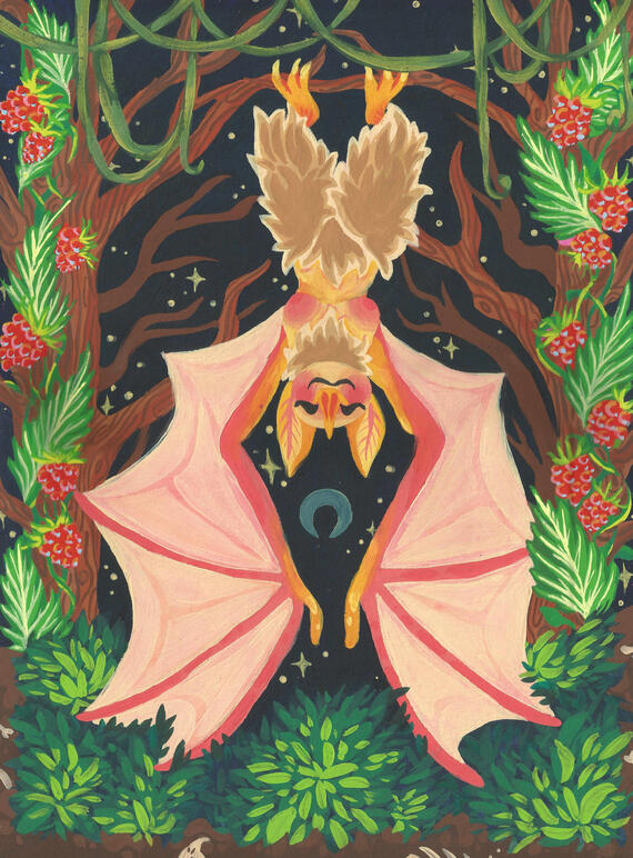 Hanging Bat Harpy Hanging Bat Harpy