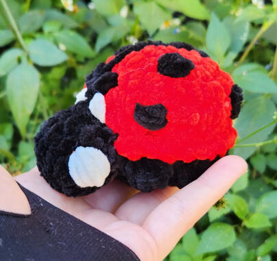 https://www.cicadahollow.com/product/ladybug-keychain/45?cs=true&cst=custom